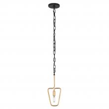 Varaluz 318M01AGCB - Triangulo 1-Lt Mini Pendant - Aged Gold/Carbon