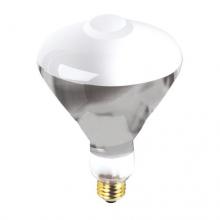 Bulbrite 662102 - MV100R40/DX