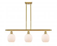 Innovations Lighting 516-3I-SG-G101 - Belfast - 3 Light - 36 inch - Satin Gold - Cord hung - Island Light