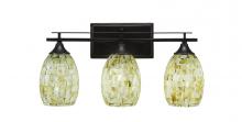 Toltec Company 133-DG-406 - Bathroom Lighting