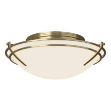 Hubbardton Forge 124402-SKT-86-GG0098 - Presidio Tryne Flush Mount