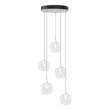 Hubbardton Forge 131123-SKT-STND-02-ZM0709 - Ume 5-Light Pendant