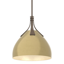 Hubbardton Forge 134502-SKT-MULT-05-86 - Summit Pendant