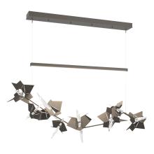 Hubbardton Forge 139813-LED-STND-07-07-CR - Belladonna LED Pendant