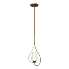 Hubbardton Forge 183050-SKT-MULT-84-ZS0354 - Flora Up Light Mini Pendant