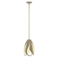 Hubbardton Forge 188770-SKT-MULT-84 - Pental Mini Pendant