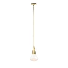 Hubbardton Forge 188902-SKT-MULT-86-ZM0676 - Fritz Large Pendant