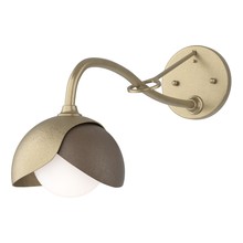 Hubbardton Forge 201377-SKT-84-05-GG0711 - Brooklyn 1-Light Double Shade Long-Arm Sconce