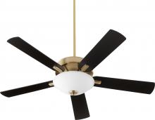 Ceiling Fans with Light