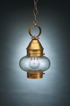 Northeast Lantern 2022-VG-MED-CLR - Onion Hanging No Cage Verdi Gris Medium Base Socket Clear Glass