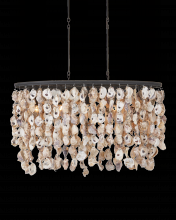 Currey 9492 - Stillwater Oyster Shell Oval Chandelier