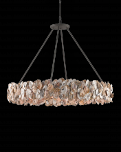 Currey 9672 - Oyster Shell Chandelier